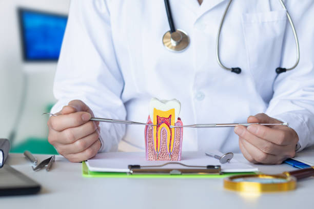 Best Emergency Dental Care for Abscessed Tooth in Mount Gay Shamrock, WV